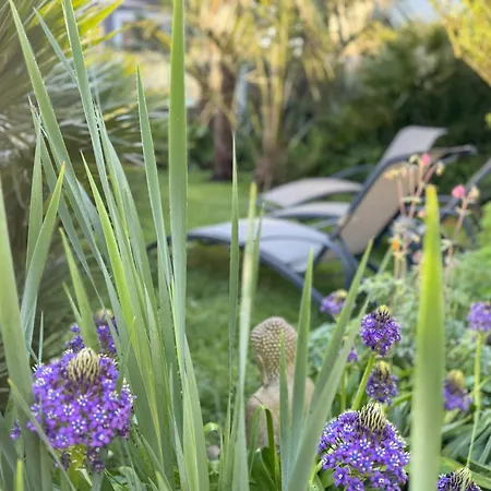 לינה וארוחת בוקר Domus26 Hortus מונטגו