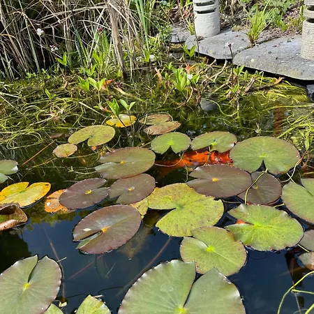 Domus26 Hortus לינה וארוחת בוקר 3*